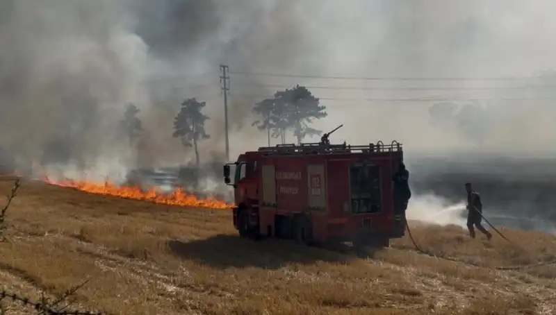 Kırklareli'nde Yangın Korkusu: Anız Yangını Kontrol Altına Alınamadı