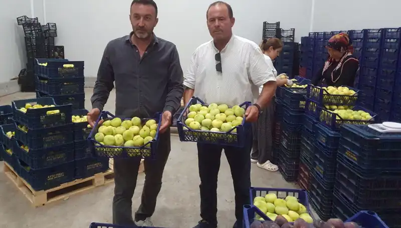 Mersinli Çiftçinin Yüzü Güldü: İhraç Edilen Ürün Tanesi 20 TL'den Satışta!