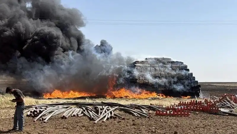Mardin'de Anız Yangını: Yangınlar Tarım Alanlarını Tehdit Ediyor