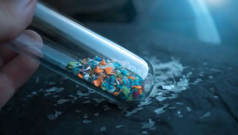 Mikroplastikler İnsan Beyninde: Sağlık Üzerindeki Etkileri Sizi Şaşırtacak