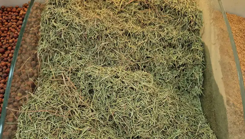 Yaz Aylarında İnternette Satılan İlaçlar Ölüme Davetiye Çıkartıyor