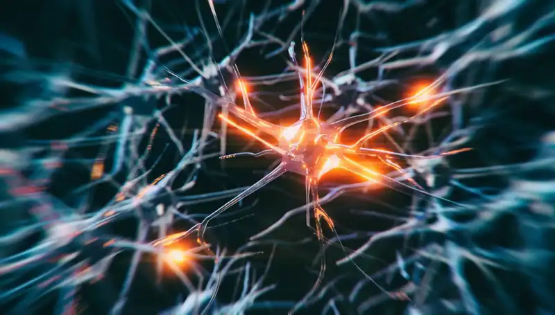 Alzheimer Vakalarının Artışı: Nedenleri ve Gelecek Beklentileri