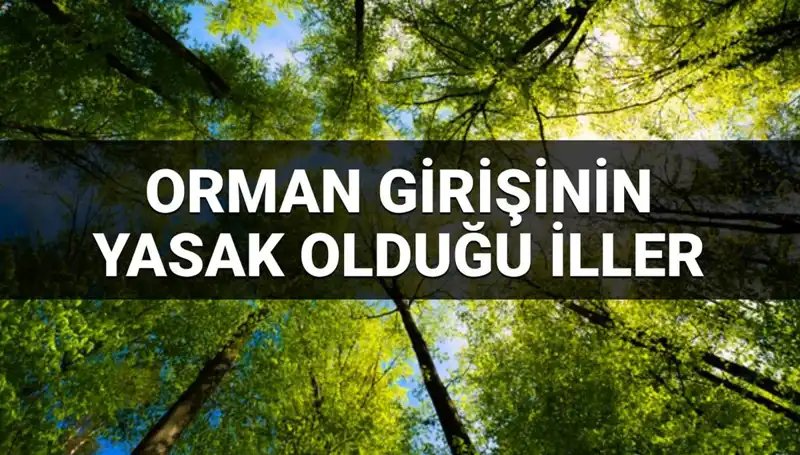 2025'te Orman Girişine Yasaklanan İller: Hangileri ve Nedenleri?