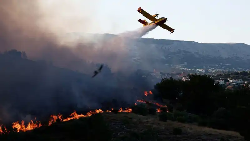 Sakız Adası'ndaki Orman Yangını Kontrol Altına Alındı: Doğa Yavaş Yavaş Yeniden Doğuyor