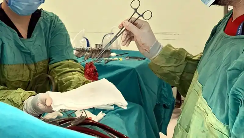 Kalp Kapağı Çürümüş, Zorlu Ameliyat Hayatı Kurtardı: Doktorların Mucizesi
